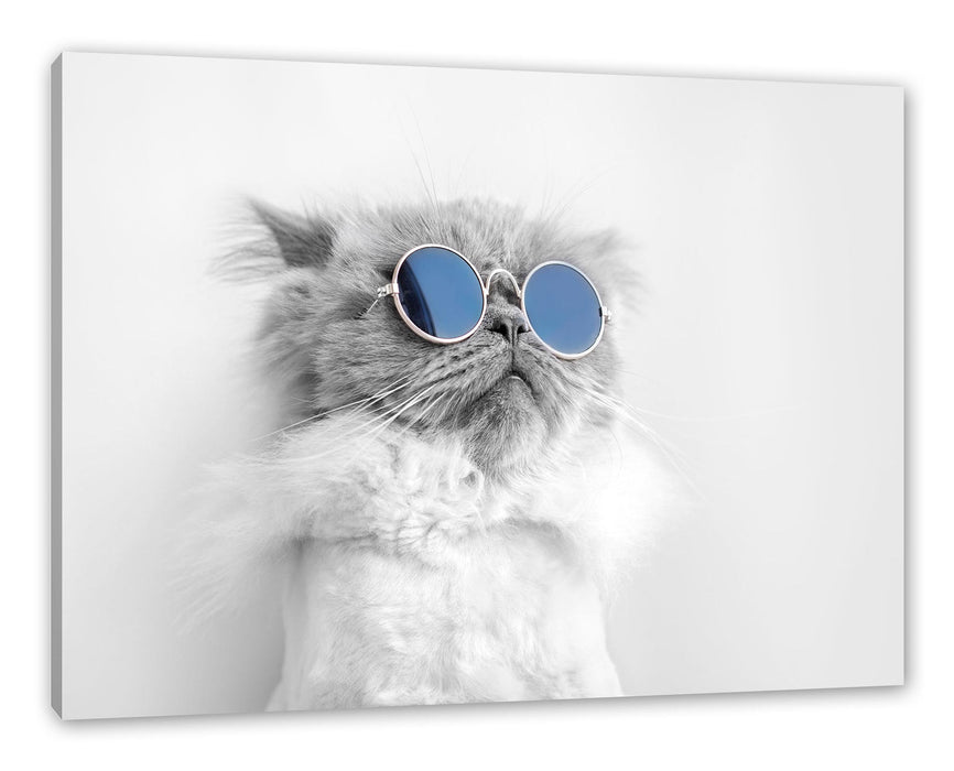 Pixxprint Coole Katze mit runder Sonnenbrille B&W Detail, Leinwandbild