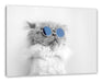 Coole Katze mit runder Sonnenbrille B&W Detail Leinwanbild Rechteckig