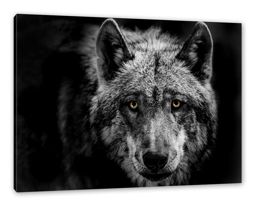 Pixxprint Nahaufnahme Wolf mit gelben Augen B&W Detail, Leinwandbild