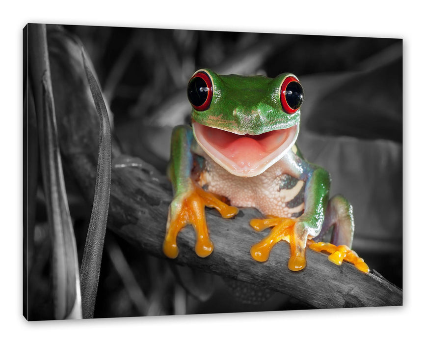 Lachender Frosch mit roten Augen auf Ast B&W Detail Leinwanbild Rechteckig