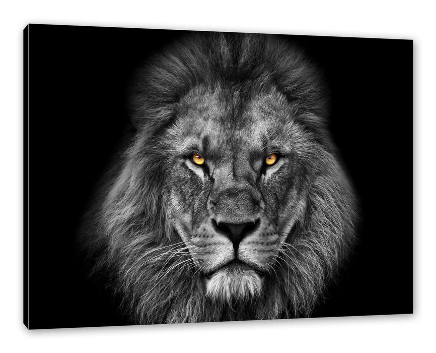 Pixxprint Mächtiger Löwe mit gelben Augen B&W Detail, Leinwandbild