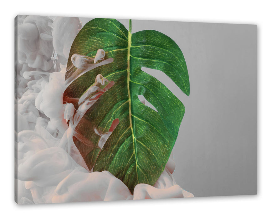 Pixxprint Monstera Blatt mit Pastelwolke B&W Detail, Leinwandbild