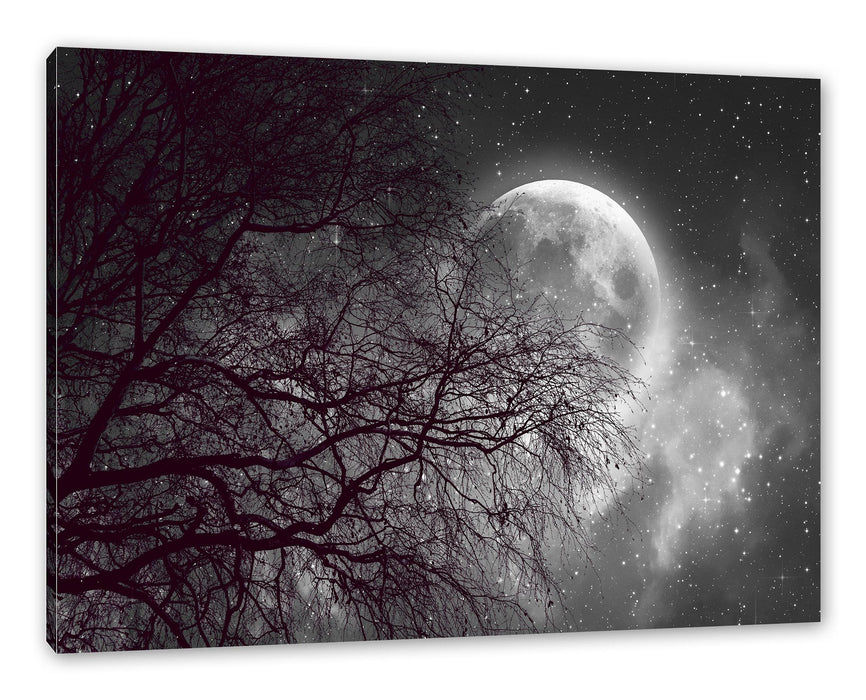 Pixxprint Winterbaum vor Vollmondnacht B&W Detail, Leinwandbild