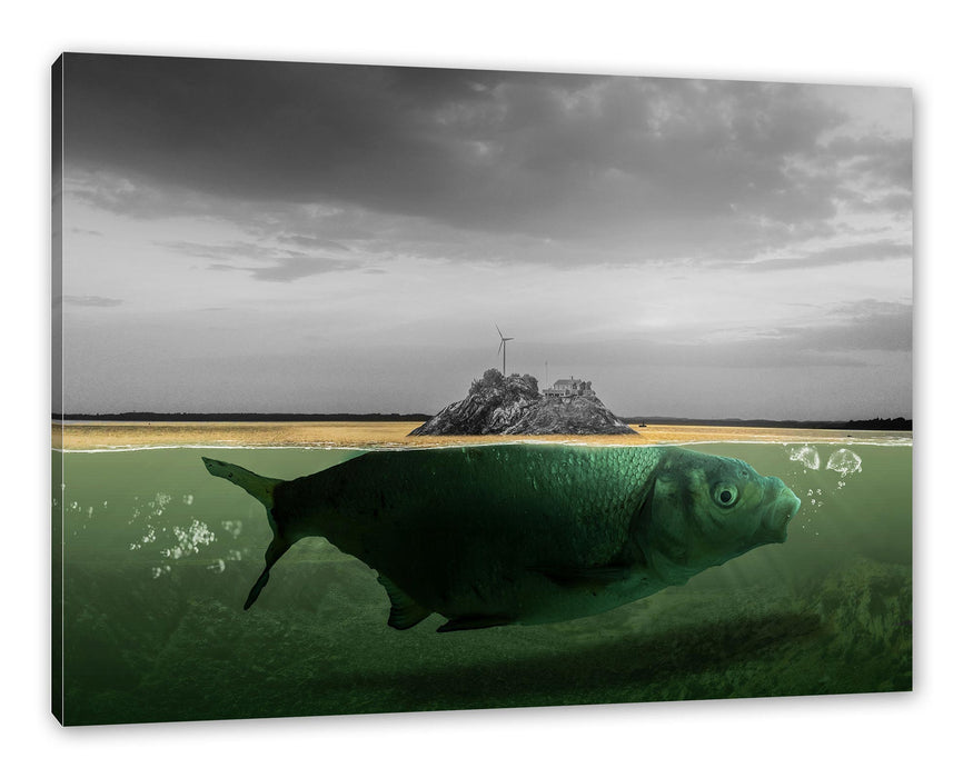 Pixxprint Abstrakter Fisch mit Felsrücken B&W Detail, Leinwandbild