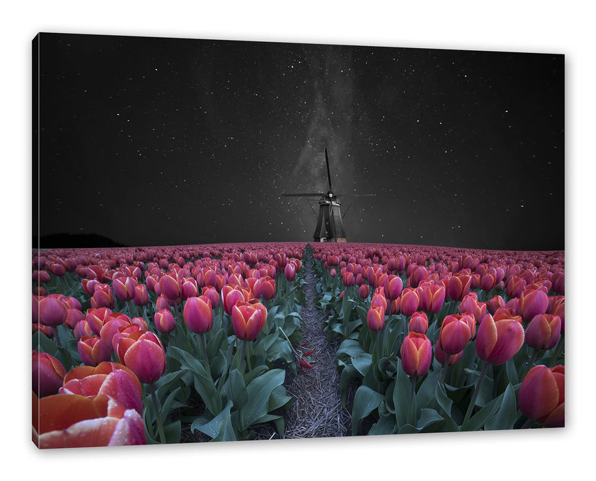 Pixxprint Tulpenfeld mit Windmühle bei Nacht B&W Detail, Leinwandbild