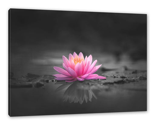 Leuchtende Lotusblüte auf grauer Pfütze B&W Detail Leinwanbild Rechteckig
