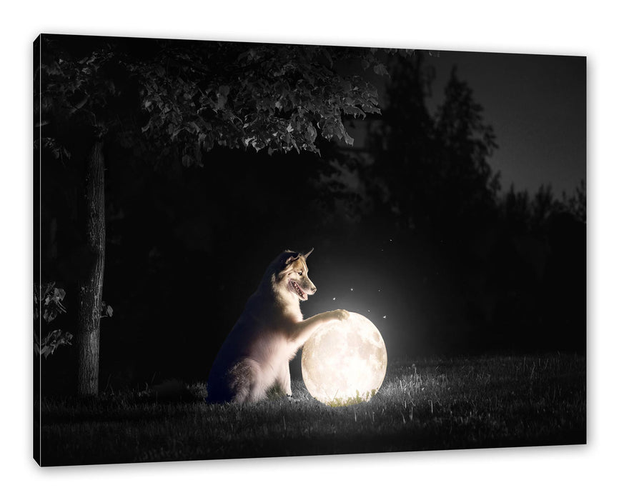 Pixxprint Hund mit leuchtendem Mond bei Nacht B&W Detail, Leinwandbild