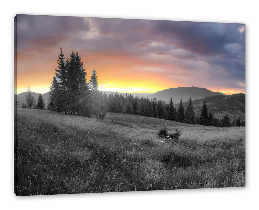 Pixxprint Wiesenlandschaft bei Sonnenuntergang B&W Detail, Leinwandbild