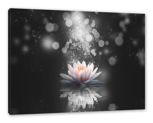 Magische Lotusblüte mit Glitzerstaub B&W Detail Leinwanbild Rechteckig