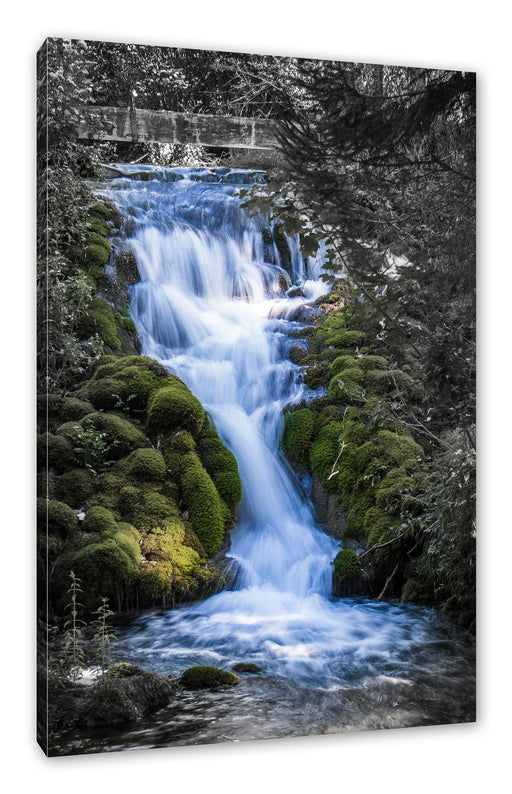 Wasserfall im grünen Wald B&W Detail Leinwanbild Rechteckig