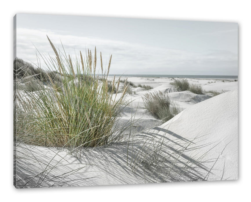 Pixxprint Grasige Dünenlandschaft am Meer B&W Detail, Leinwandbild
