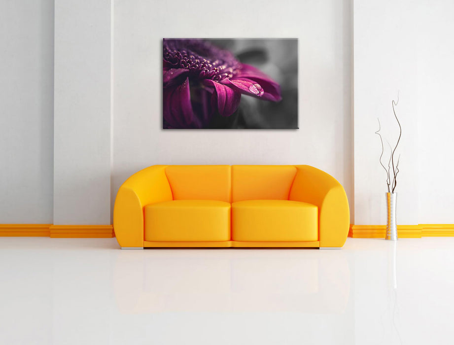 Nahaufnahme Tropfen auf lila Blume B&W Detail Leinwanbild Wohnzimmer Rechteckig