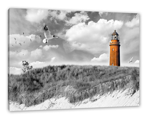 Möwen fliegen am Meer vor Leuchtturm B&W Detail Leinwanbild Rechteckig