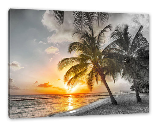 Palmen im Sonnenuntergang auf Barbados B&W Detail Leinwanbild Rechteckig