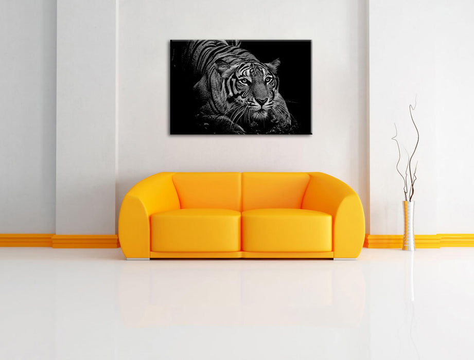 Mächtiger lauernder Tiger, Monochrome Leinwanbild Wohnzimmer Rechteckig