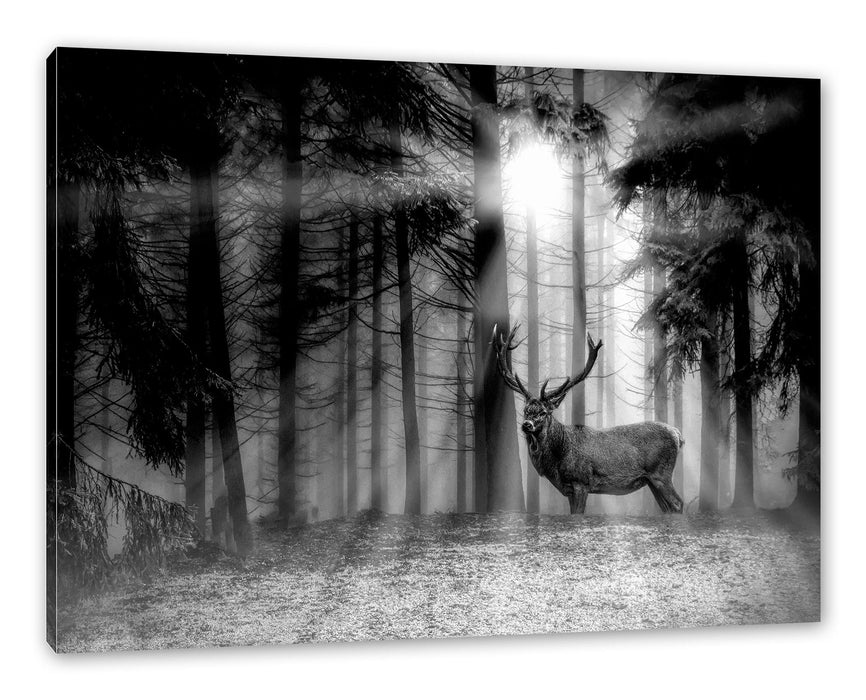 Pixxprint Hirsch auf Waldlichtung Sonnenstrahlen, Monochrome, Leinwandbild