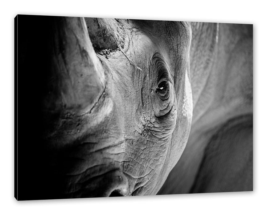 Pixxprint Nahaufnahme eines Nashorn Schwarz-weiß, Monochrome, Leinwandbild