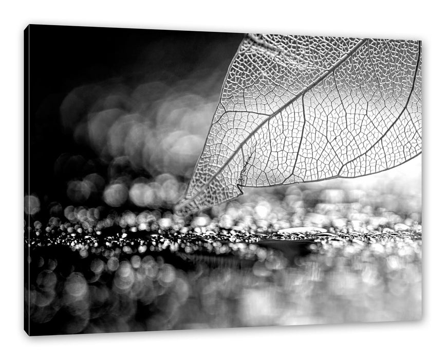Pixxprint Nahaufnahme weißes Blattgerüst im Regen, Monochrome, Leinwandbild