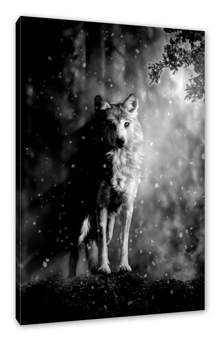 Pixxprint Fantasievoller weißer Wolf auf Lichtung, Monochrome, Leinwandbild