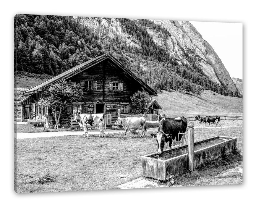 Pixxprint Kühe vor Blochhütte auf Albenweide, Monochrome, Leinwandbild