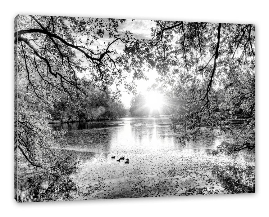 Pixxprint Herbstbäume um See bei Sonnenuntergang, Monochrome, Leinwandbild