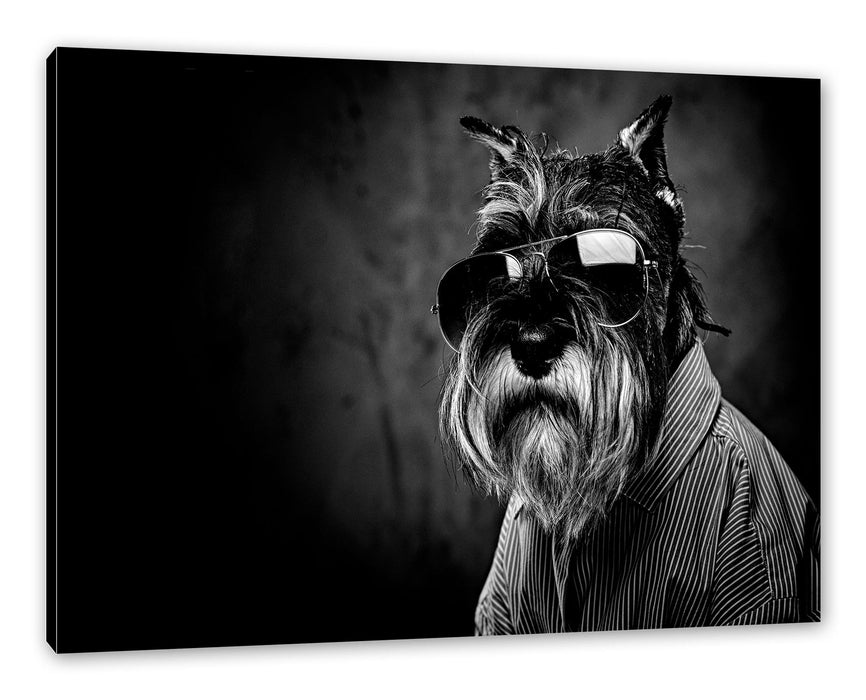 Lustiger Hund mit Hemd und Sonnenbrille, Monochrome Leinwanbild Rechteckig