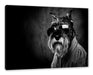 Lustiger Hund mit Hemd und Sonnenbrille, Monochrome Leinwanbild Rechteckig