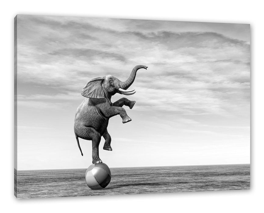 Pixxprint Elefant in der Wüste balanciert auf Ball, Monochrome, Leinwandbild