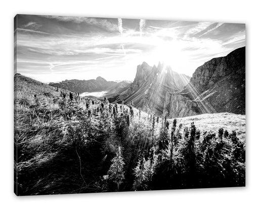 Bergwiese im Puez-Geisler Naturpark, Monochrome Leinwanbild Rechteckig