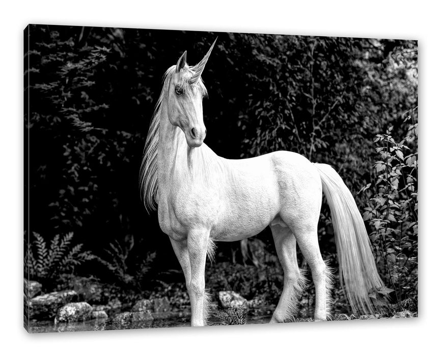 Pixxprint Majestätisches Einhorn in Waldsee, Monochrome, Leinwandbild