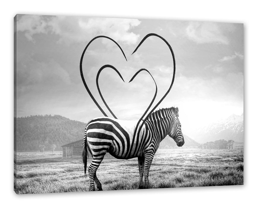 Pixxprint Zebra mit Herzbotschaft in der Savanne, Monochrome, Leinwandbild