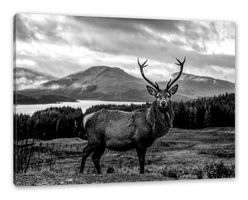 Pixxprint Hirsch in atemberaubender Landschaft, Monochrome, Leinwandbild