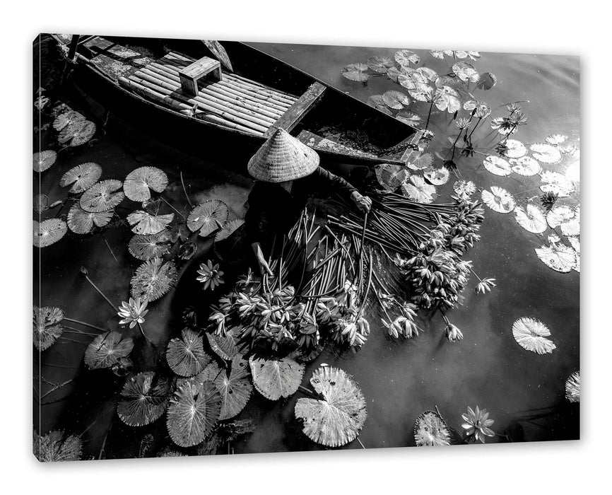 Pixxprint Wasserlilienernte mit Boot in Vietnam, Monochrome, Leinwandbild