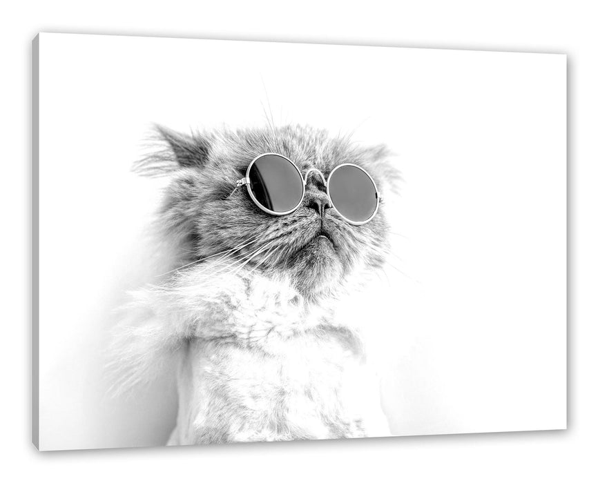 Pixxprint Coole Katze mit runder Sonnenbrille, Monochrome, Leinwandbild