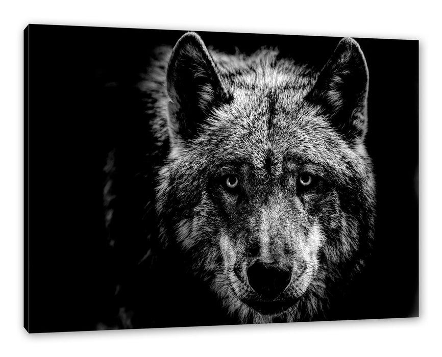 Pixxprint Nahaufnahme Wolf mit gelben Augen, Monochrome, Leinwandbild