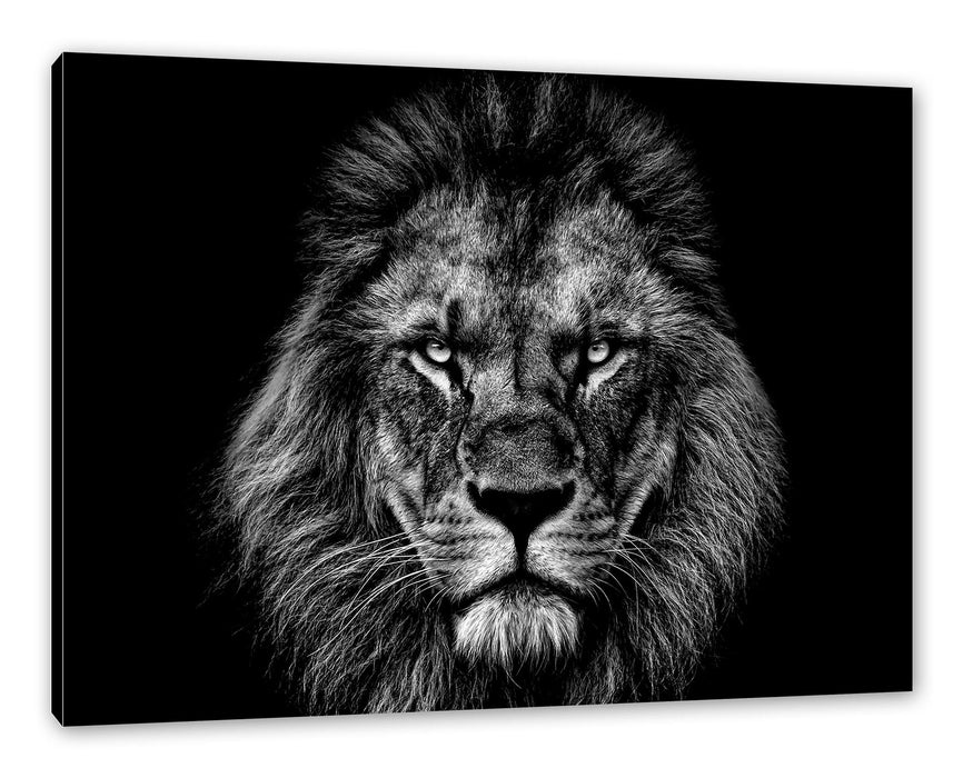 Pixxprint Mächtiger Löwe mit gelben Augen, Monochrome, Leinwandbild