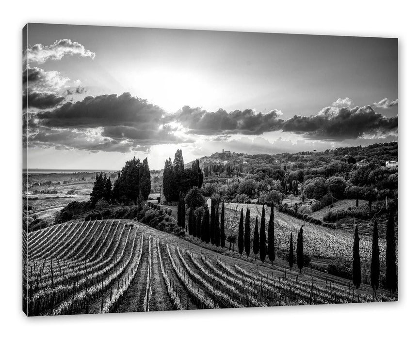 Pixxprint Malerische Weinberge in der Toskana, Monochrome, Leinwandbild