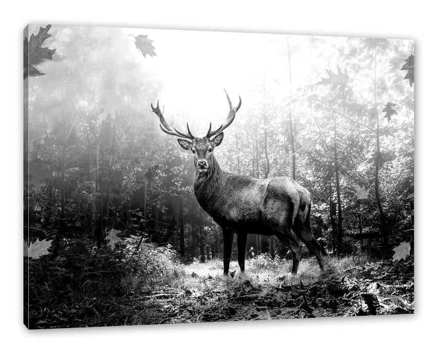 Pixxprint Hirsch im Wald mit fallenden Blättern, Monochrome, Leinwandbild