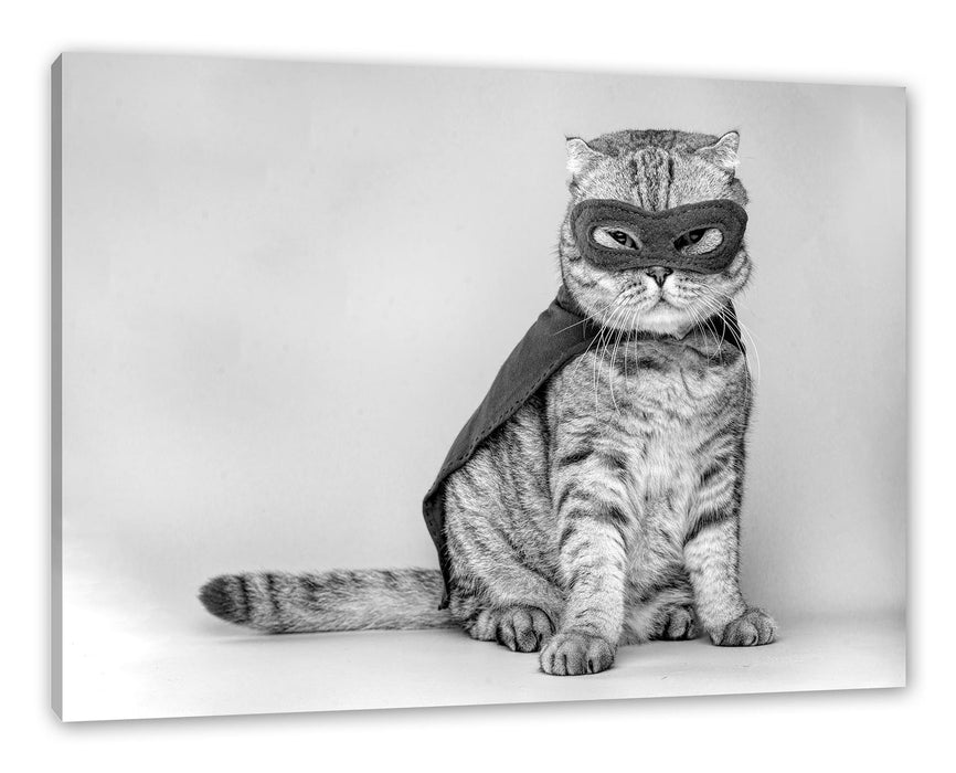 Pixxprint Süße Katze im Superheldenkostüm, Monochrome, Leinwandbild