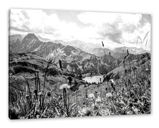 Wiesenblumen in den Bergen, Monochrome Leinwanbild Rechteckig