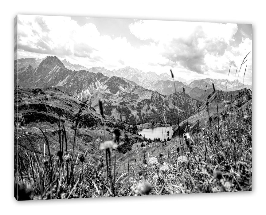 Pixxprint Wiesenblumen in den Bergen, Monochrome, Leinwandbild