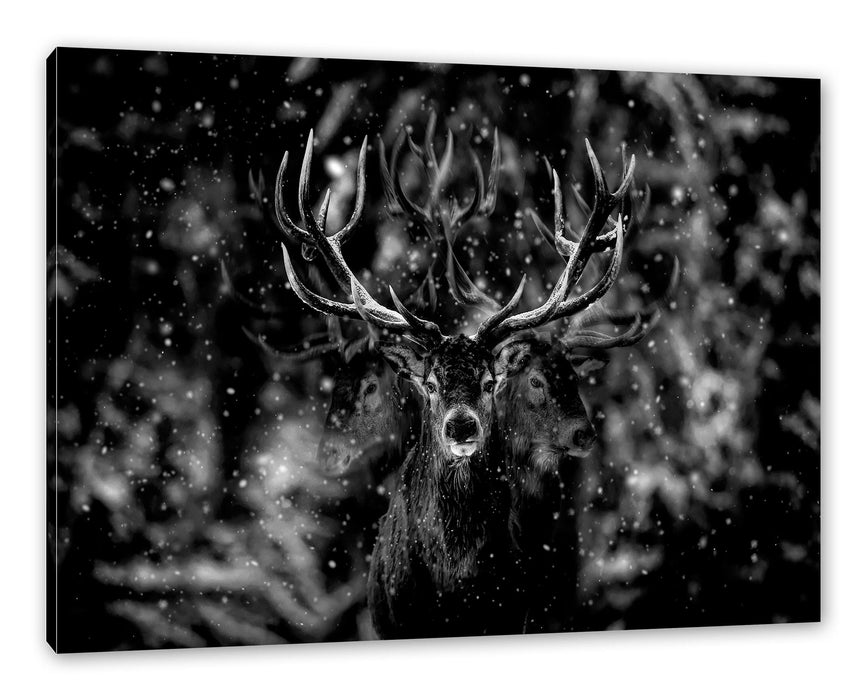 Pixxprint Machtvoller Hirsch im Winterwald, Monochrome, Leinwandbild