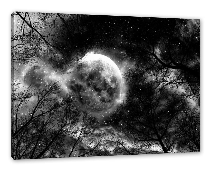 Pixxprint Farbenvolle Sternennacht bei Vollmond, Monochrome, Leinwandbild