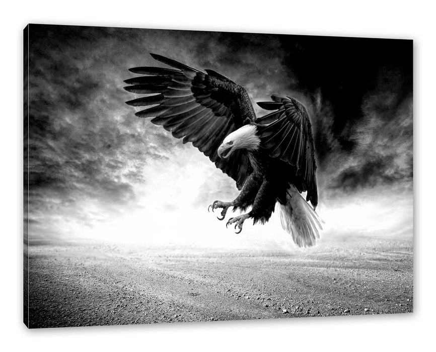 Pixxprint Angreifender Adler in Steinwüste, Monochrome, Leinwandbild