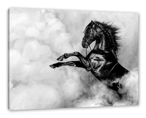 Schwarzes Pferd steigt im weißen Nebel, Monochrome Leinwanbild Rechteckig