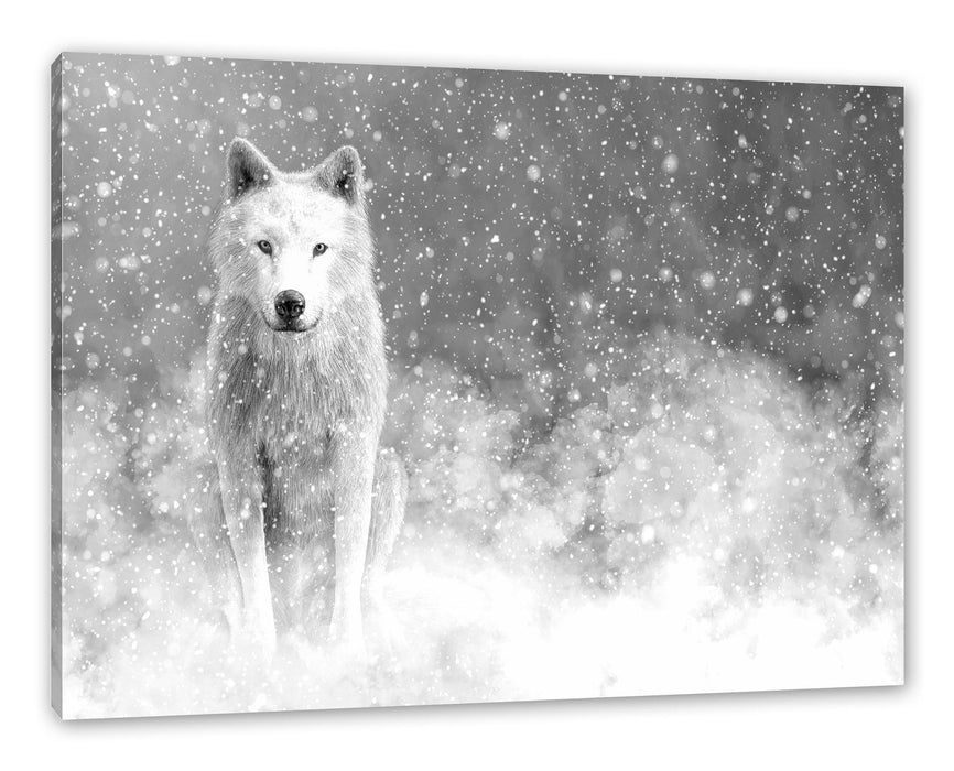 Pixxprint Majestätischer weißer Wolf im Schnee, Monochrome, Leinwandbild