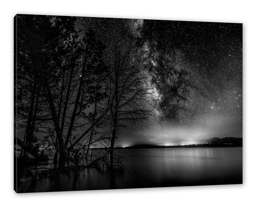 Pixxprint Bäume am See in sternenklarer Nacht, Monochrome, Leinwandbild