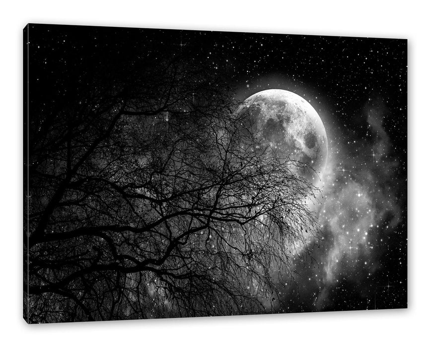 Pixxprint Winterbaum vor Vollmondnacht, Monochrome, Leinwandbild