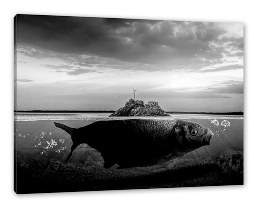 Abstrakter Fisch mit Felsrücken, Monochrome Leinwanbild Rechteckig