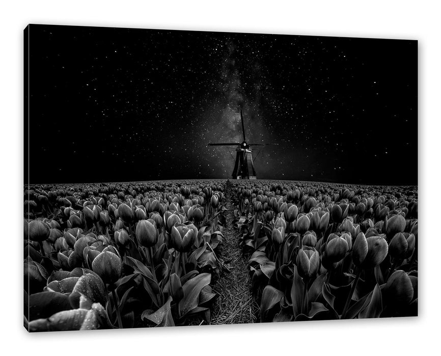 Pixxprint Tulpenfeld mit Windmühle bei Nacht, Monochrome, Leinwandbild